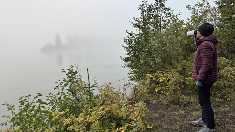 Read more about the article Fog in the morning