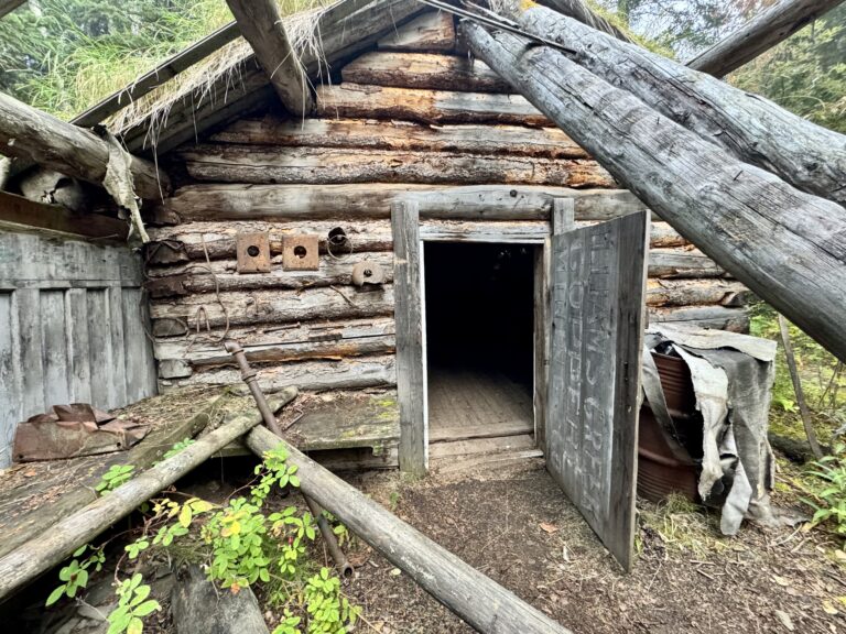 Read more about the article Merrice Creek