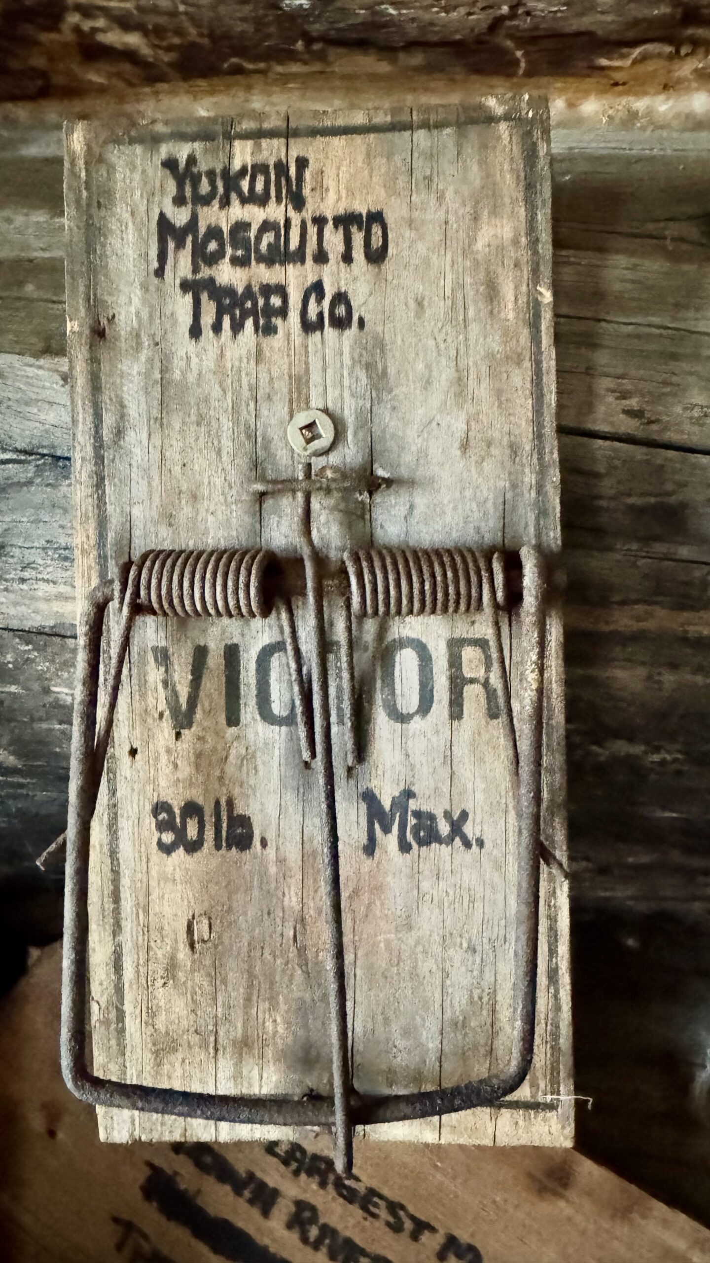 Read more about the article Mosquito Trap
