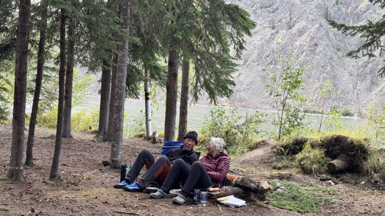 Read more about the article Too old to be bear food