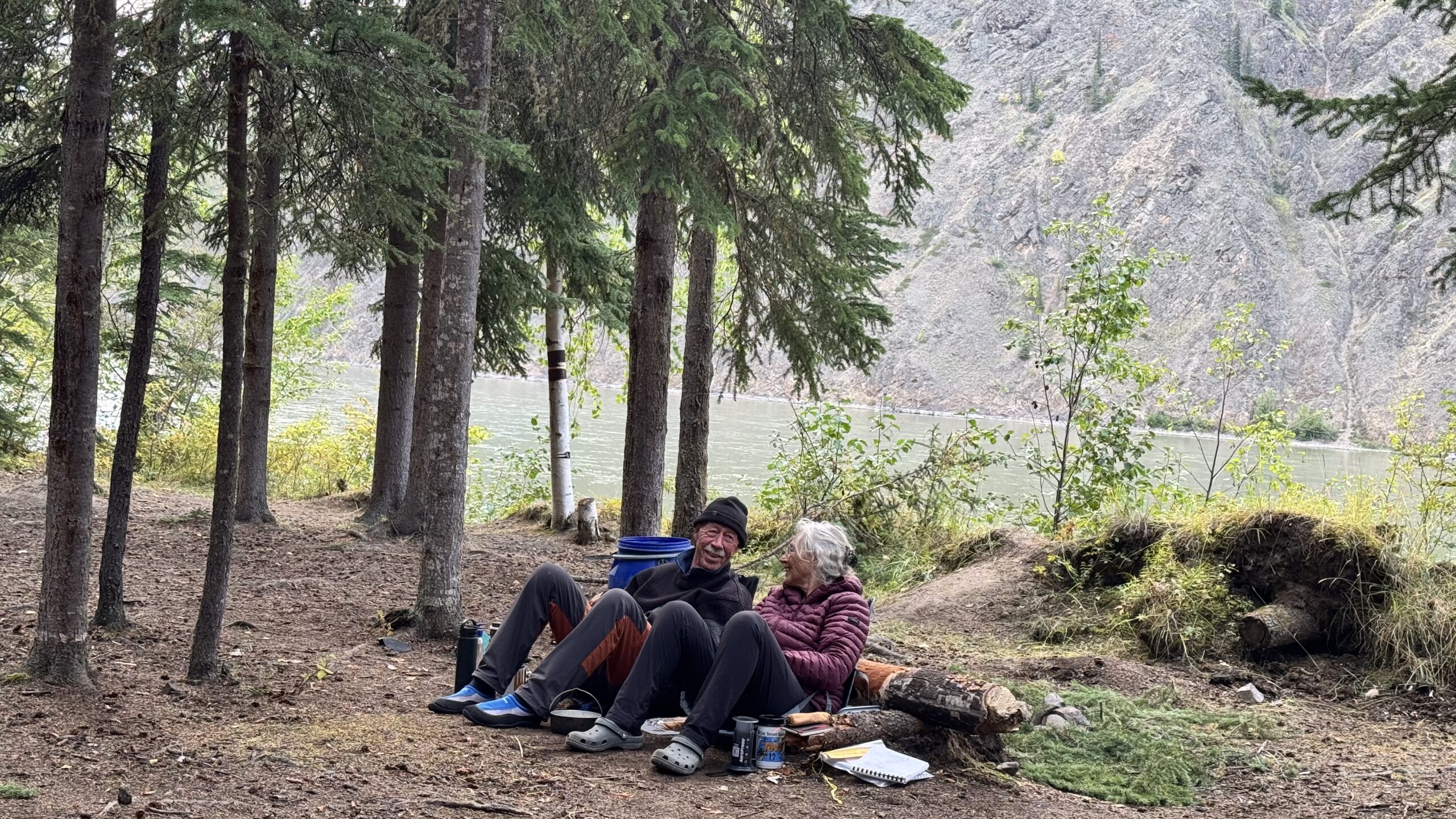 Read more about the article Too old to be bear food