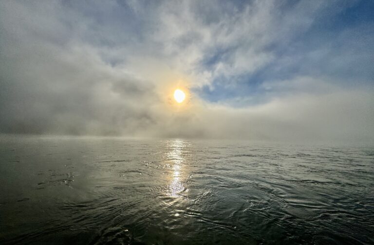 Read more about the article Fog in te morning