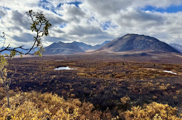 Read more about the article Up North to the beautiful Thombstone National Parc at the Dempster Highway