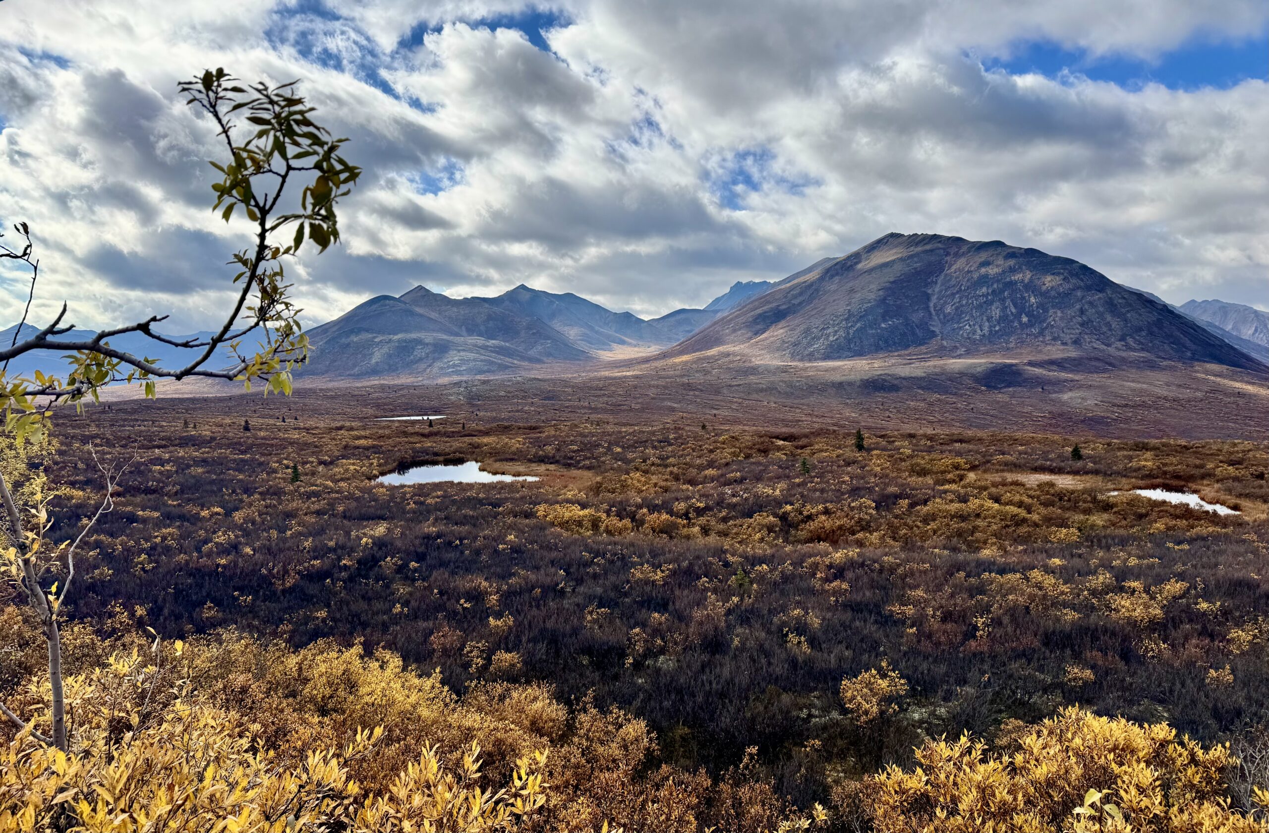 Read more about the article Up North to the beautiful Thombstone National Parc at the Dempster Highway