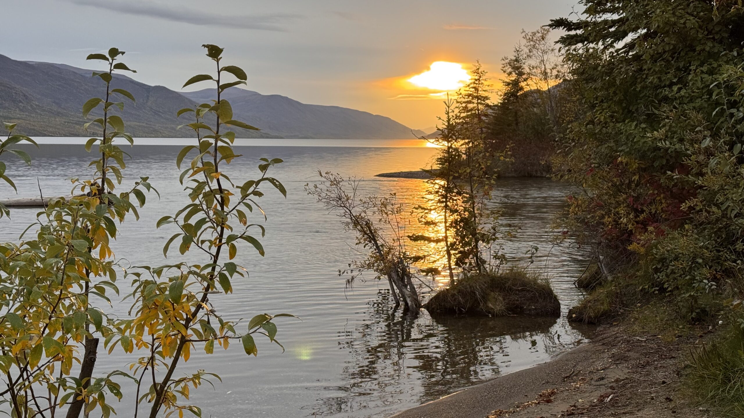 Read more about the article Drury Creek flowing in the Little Salmon Lake