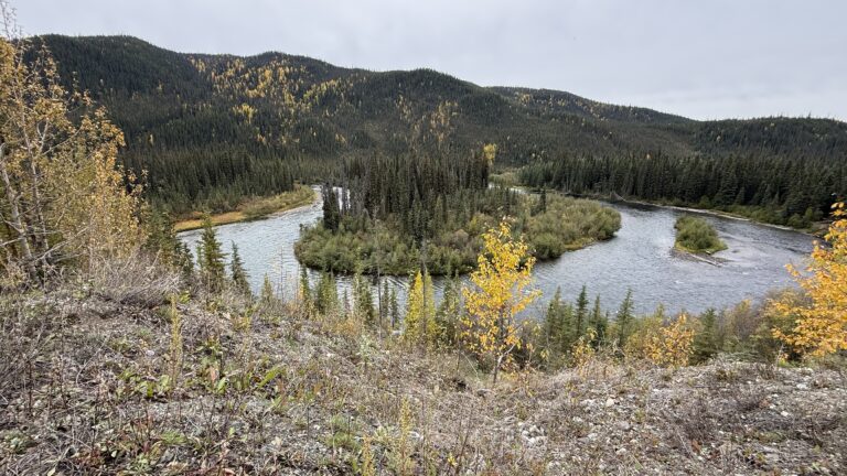 Read more about the article Little Salmon River