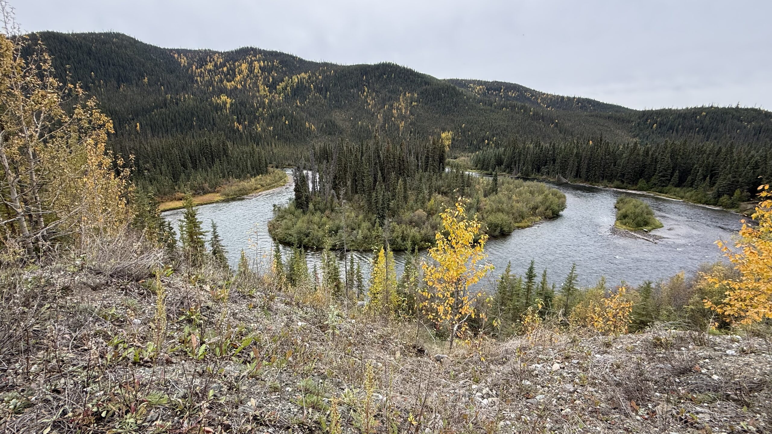 Read more about the article Little Salmon River